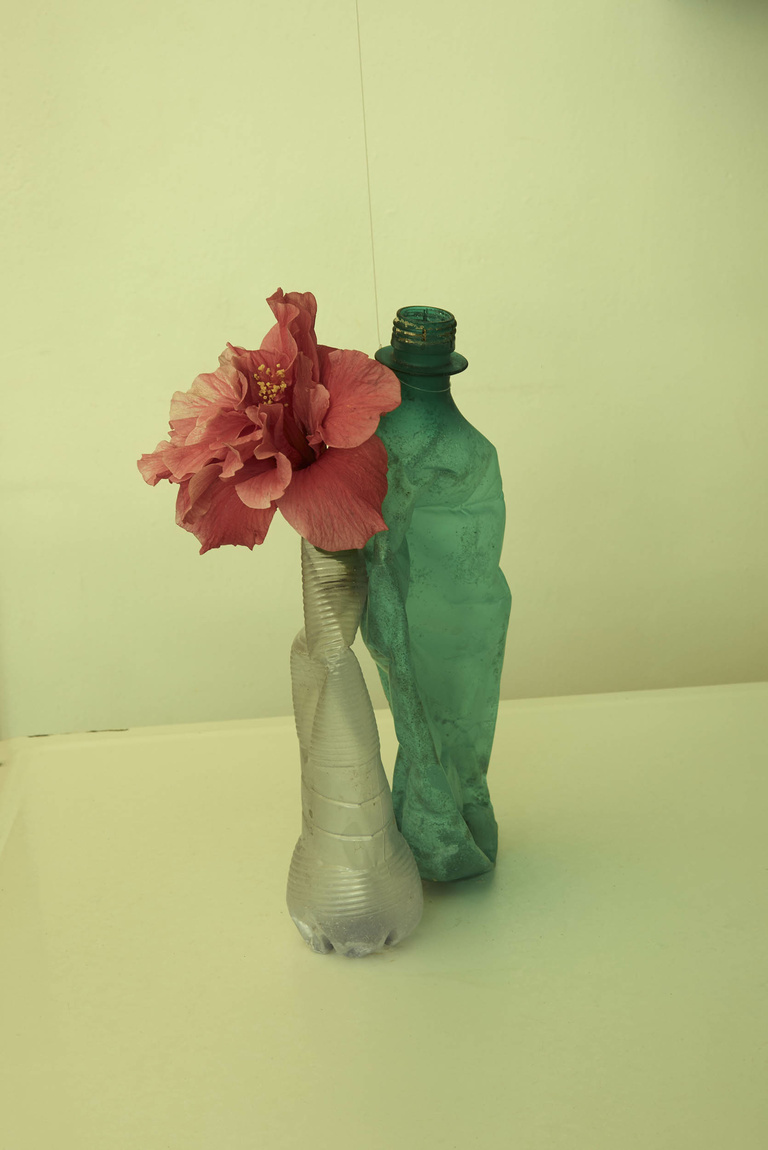 Editions Textuel -  Flower Power_10_Schaap.jpg