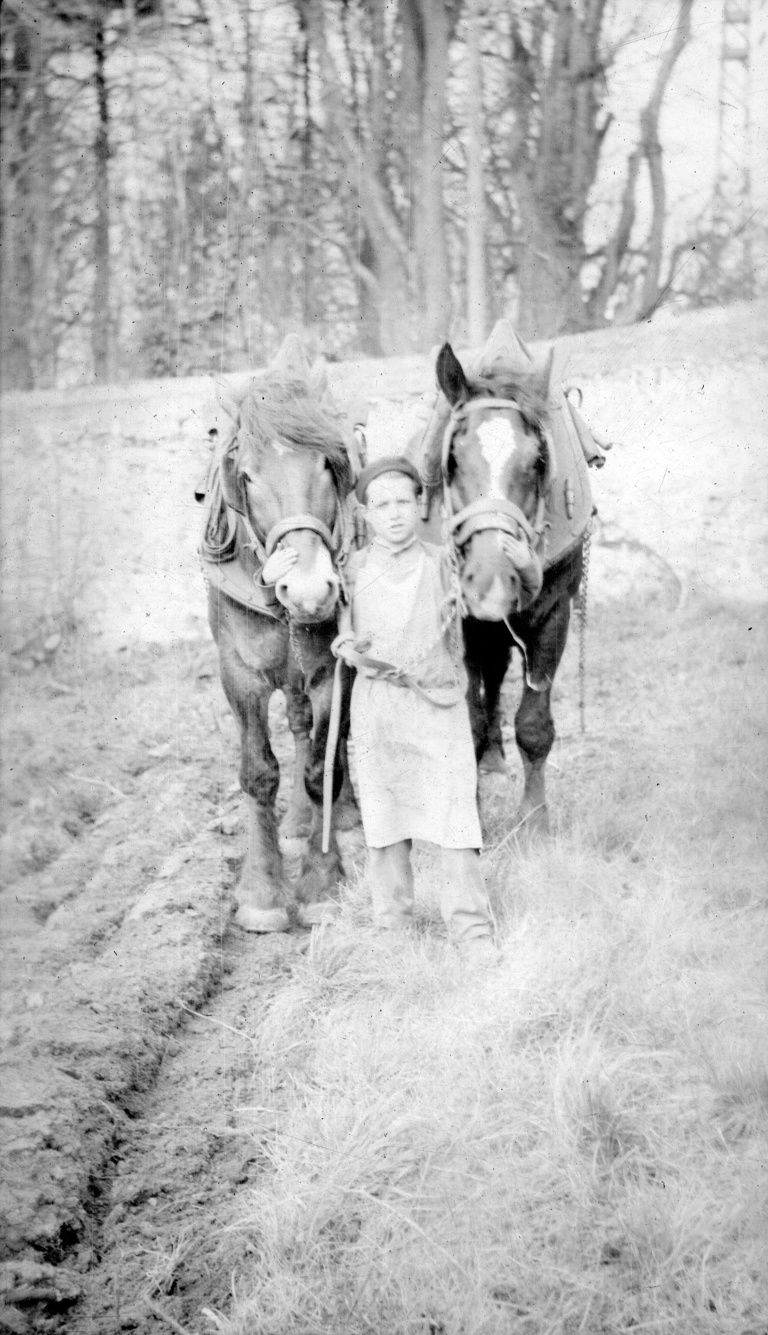 Editions Textuel -  2.enfant guidant des chevaux de trait.jpg