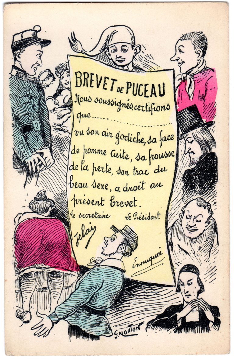 Editions Textuel -  Brevet puceau.jpg